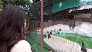JUQ-345 無精子症の夫は何も知りません―。匿名男性に種付けSEXを懇願してイキ堕ちた私。