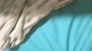 顽皮大奶主播直播自慰流出好多白浆